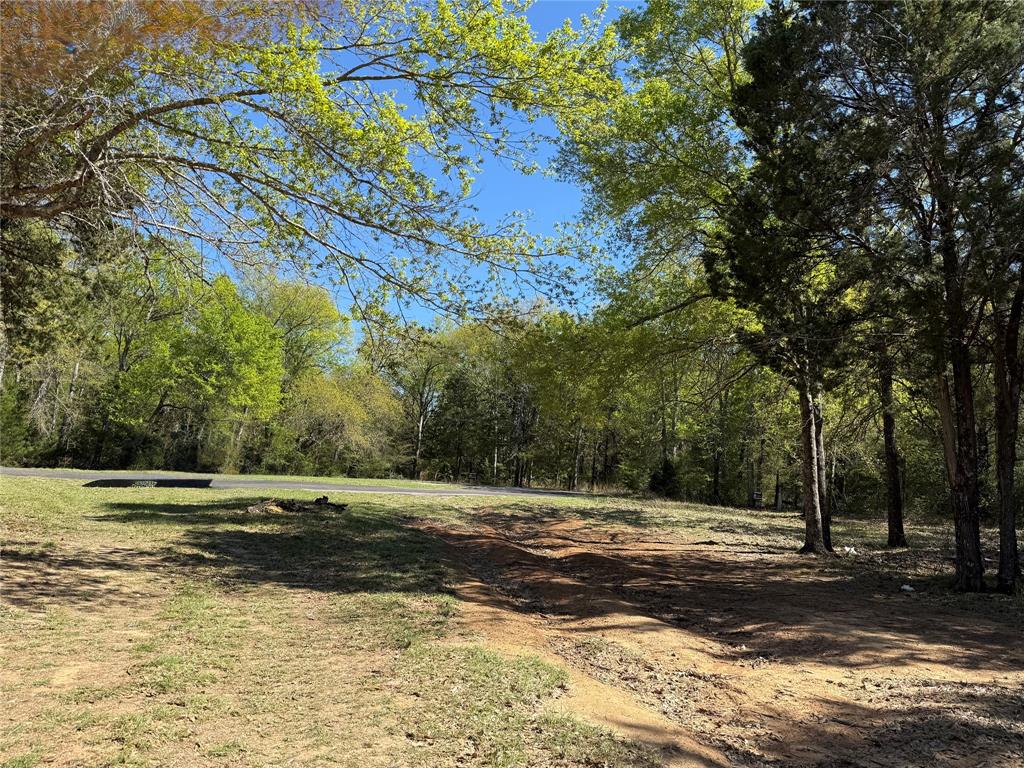 The Wilderness - Land