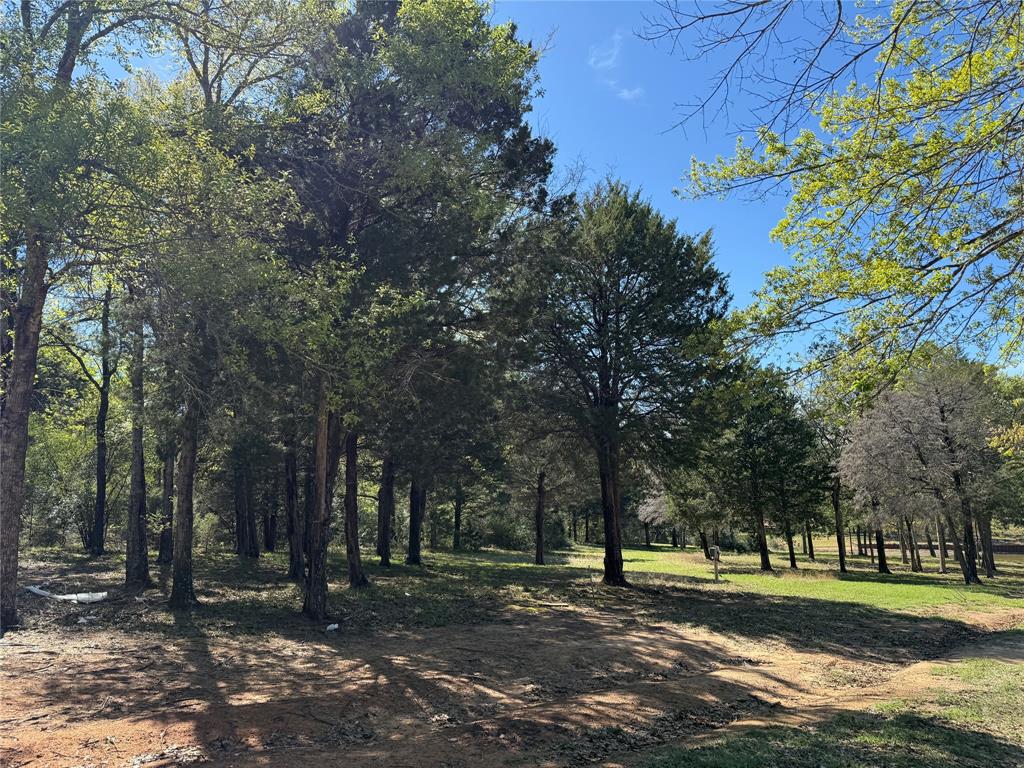 The Wilderness - Land