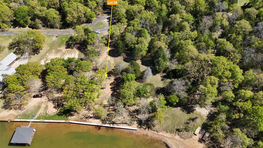 The Wilderness - Land