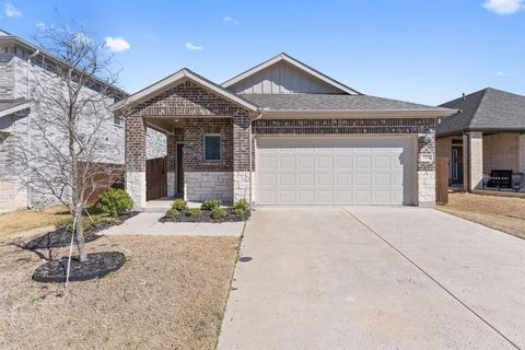 206 Mountain Meadow Lane Princeton TX 75071