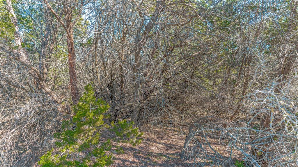 White Bluff #21 - Land