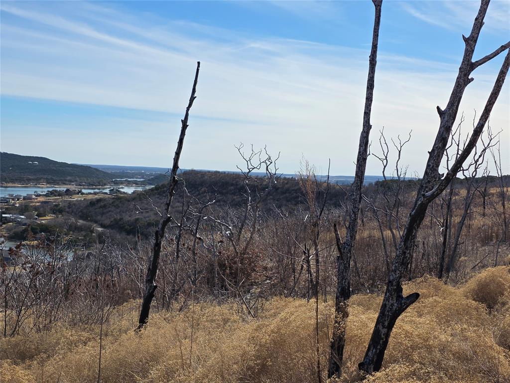 ALEX STRINGER - Land