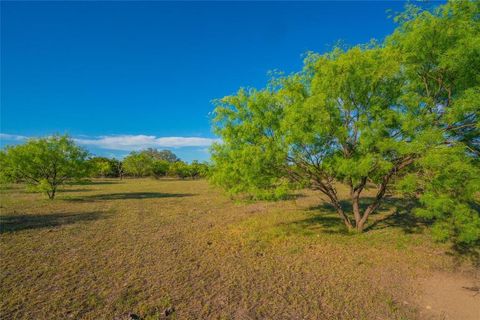 Tiny photo for 2455 County Road 699, Lometa, TX 76853 (MLS # 21071744)