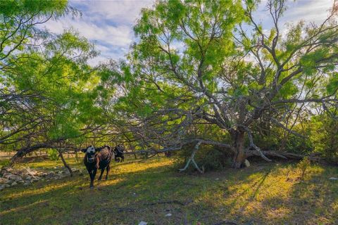 Tiny photo for 2455 County Road 699, Lometa, TX 76853 (MLS # 21071744)