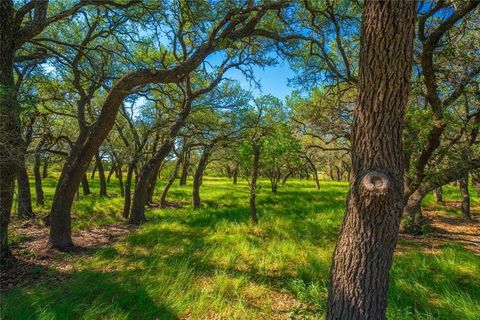 Tiny photo for 2455 County Road 699, Lometa, TX 76853 (MLS # 21071744)