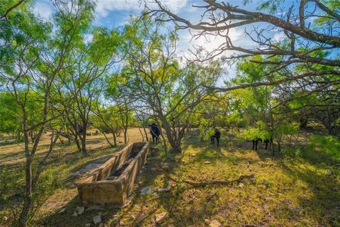 Tiny photo for 2455 County Road 699, Lometa, TX 76853 (MLS # 21071744)