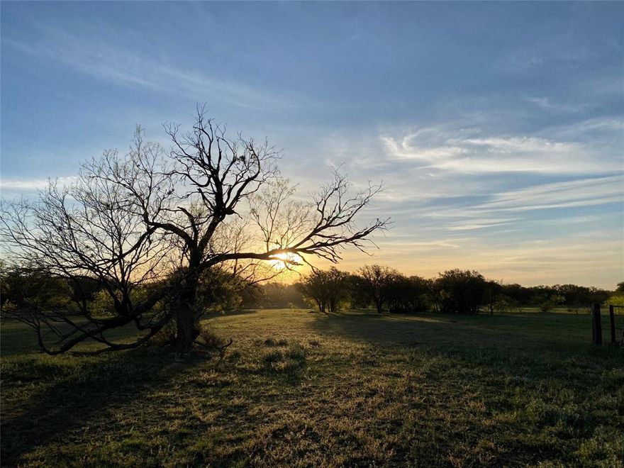 New survey was completed on March 5, 2026. The new survey showed the ranch to be 11.02 acres LARGER than Montague County CAD had assessed. Main ranch is 184.22 acres, and the access easement is 1.22 acres. Therefore price has been adjusted accordingly.  
Offered at below 2025 Tax Evaluation price per acre!  
This is a gorgeous ranch in the Cross Timbers region of Texas, and is less than a half-mile from the Red River. The ranch includes the dirt ownership of a right-of-way easement.
Beautiful, native hardwood stands surround the entire property, and give way to large natural drainages within the stands of trees. In the central part of the property, and completely surrounded by stands of hardwoods, the brush has been cleared and is alive with native grasses and plants. 
Excellent hunting ranch for White-tailed Deer, Rio Grande Wild Turkey, hogs, & upland game birds.  Legitimate 150-class plus Whitetail bucks have been seen on the ranch. 
This is also a great ranch for livestock, horses, and potential agriculture within the central part of the ranch.  Livestock and horses have open fields; open stands of hardwoods; closed stands of hardwoods and brush; and water. All their needs are met.

Call PHIL ROBERTSON today for a showing, and you can be the new owner of this beautiful and memorable ranch!