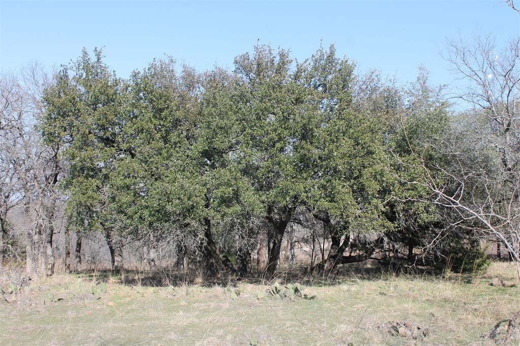 North Star Pointe - Land