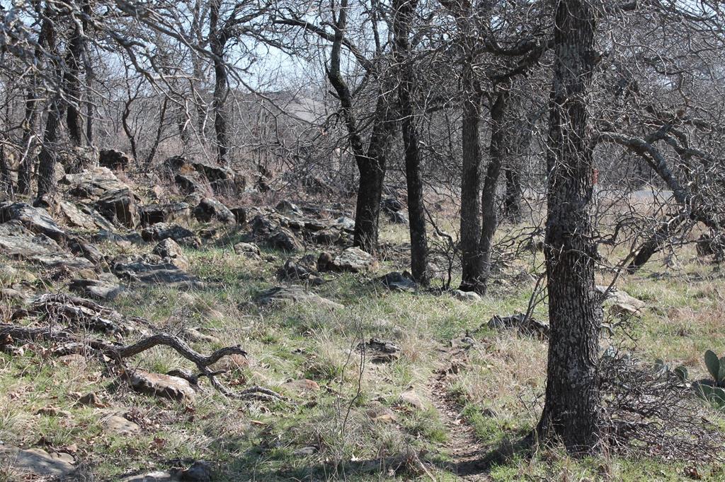 North Star Pointe - Land