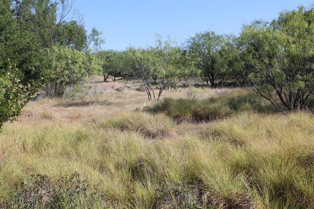 North Star Pointe - Land