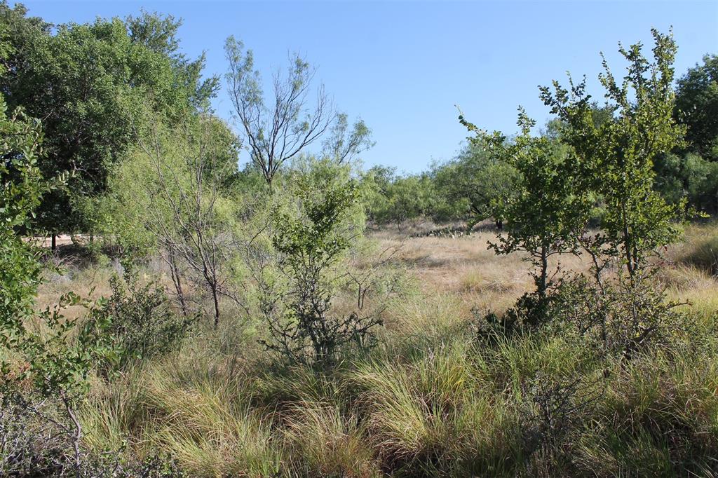 North Star Pointe - Land