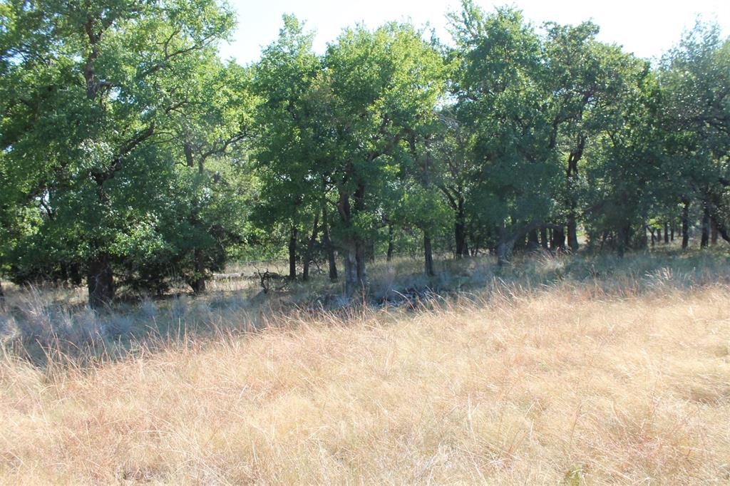 North Star Pointe - Land