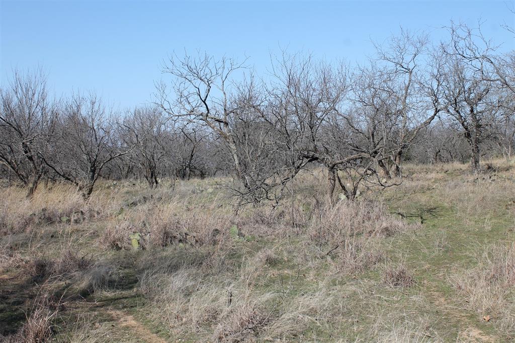 North Star Pointe - Land