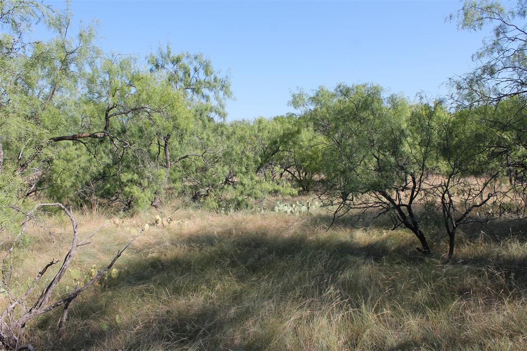 North Star Pointe - Land