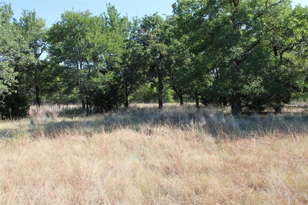 North Star Pointe - Land