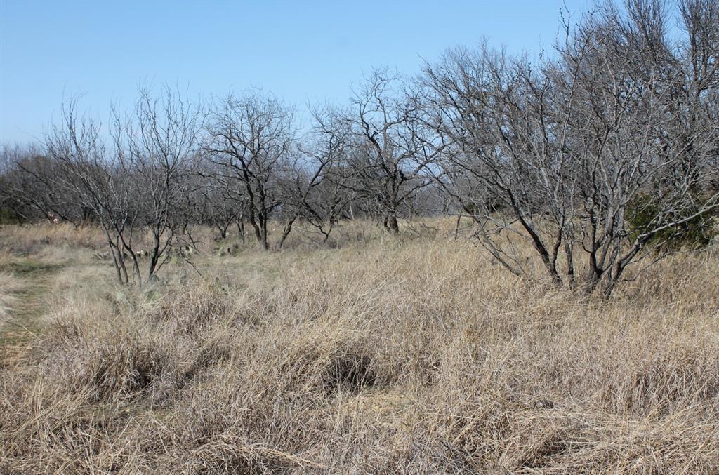 North Star Pointe - Land