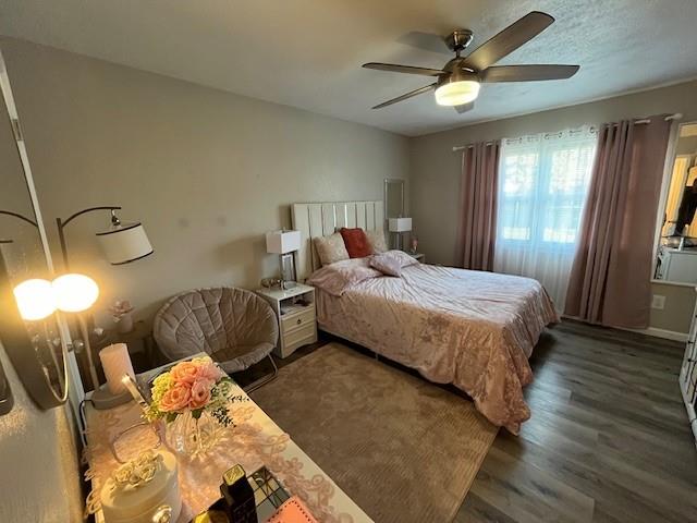 The Colony, Texas 75056, United States, 3 Bedrooms Bedrooms, ,2 BathroomsBathrooms,Residential,Active,126937