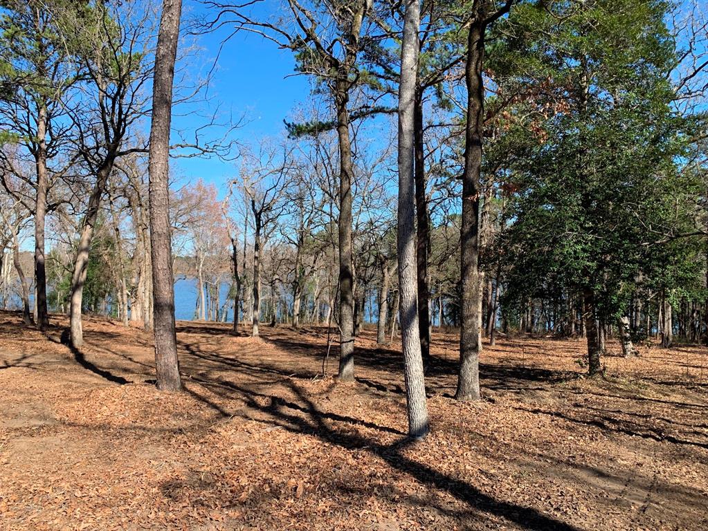 Legacy Shores - Land