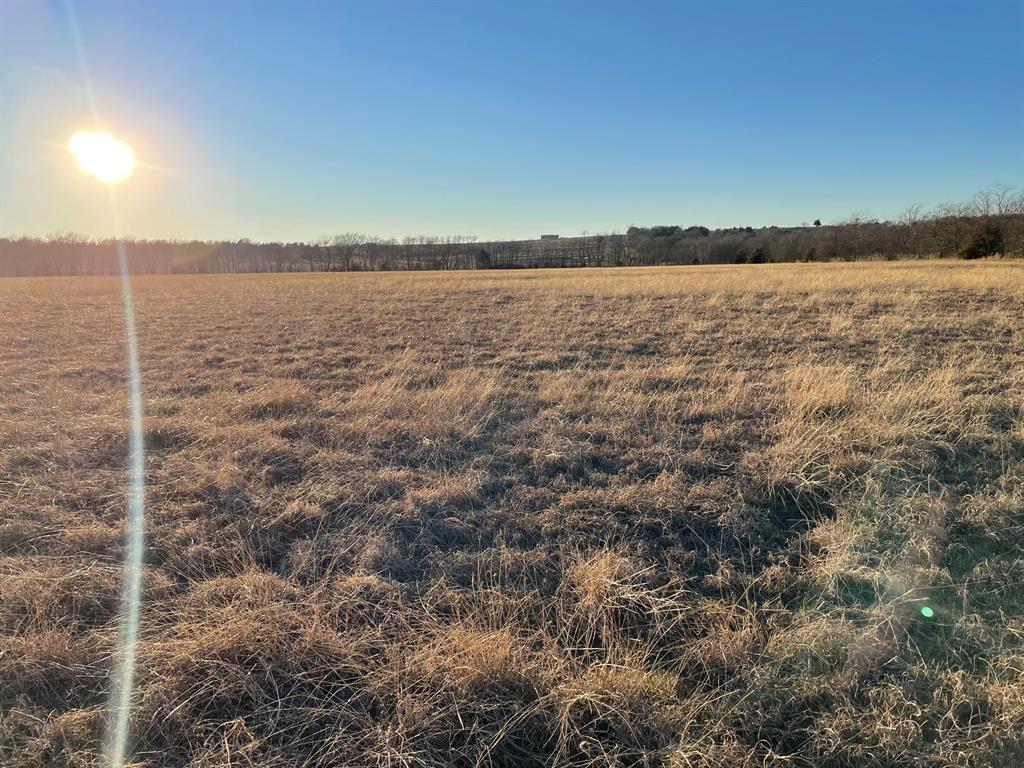 61.96ac Mary Fitch Road