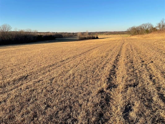 61.96AC MARY FITCH ROAD, SHERMAN, TX 75090 - Image cd9de8b080500ca286bd098b122a120a/1733372779