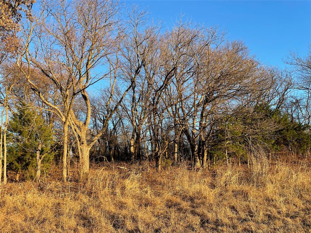 61.96ac Mary Fitch Road