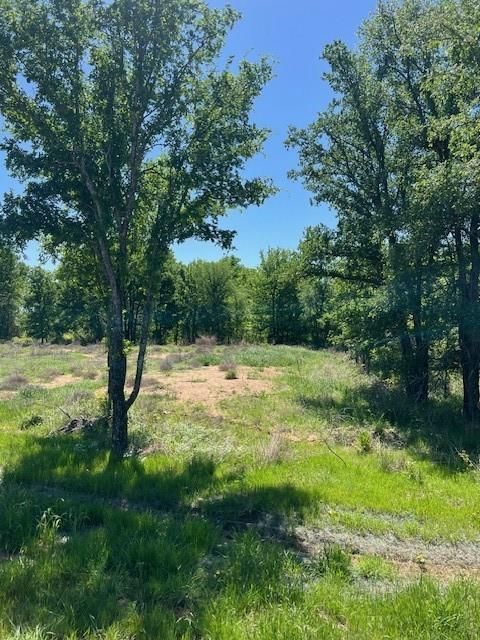 1008 Bermes Court Brock TX 76087