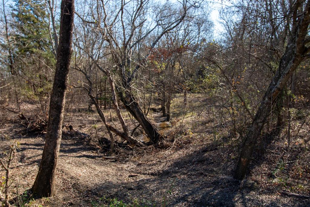 Lot 6 County Road 2905