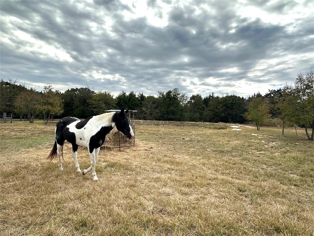 2430 County Road 2265