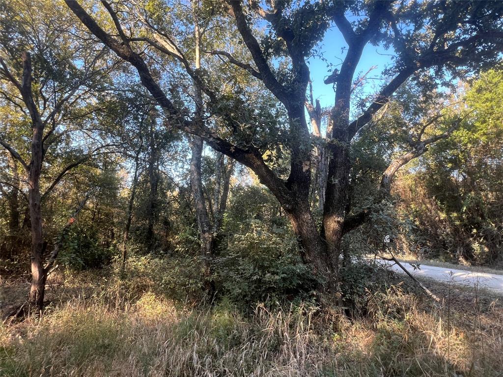 3901 County Road 3110