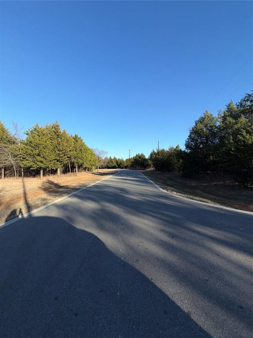 Photo of 50 Forest Hills Drive, Gordonville, TX 76245 (MLS # 21156436)