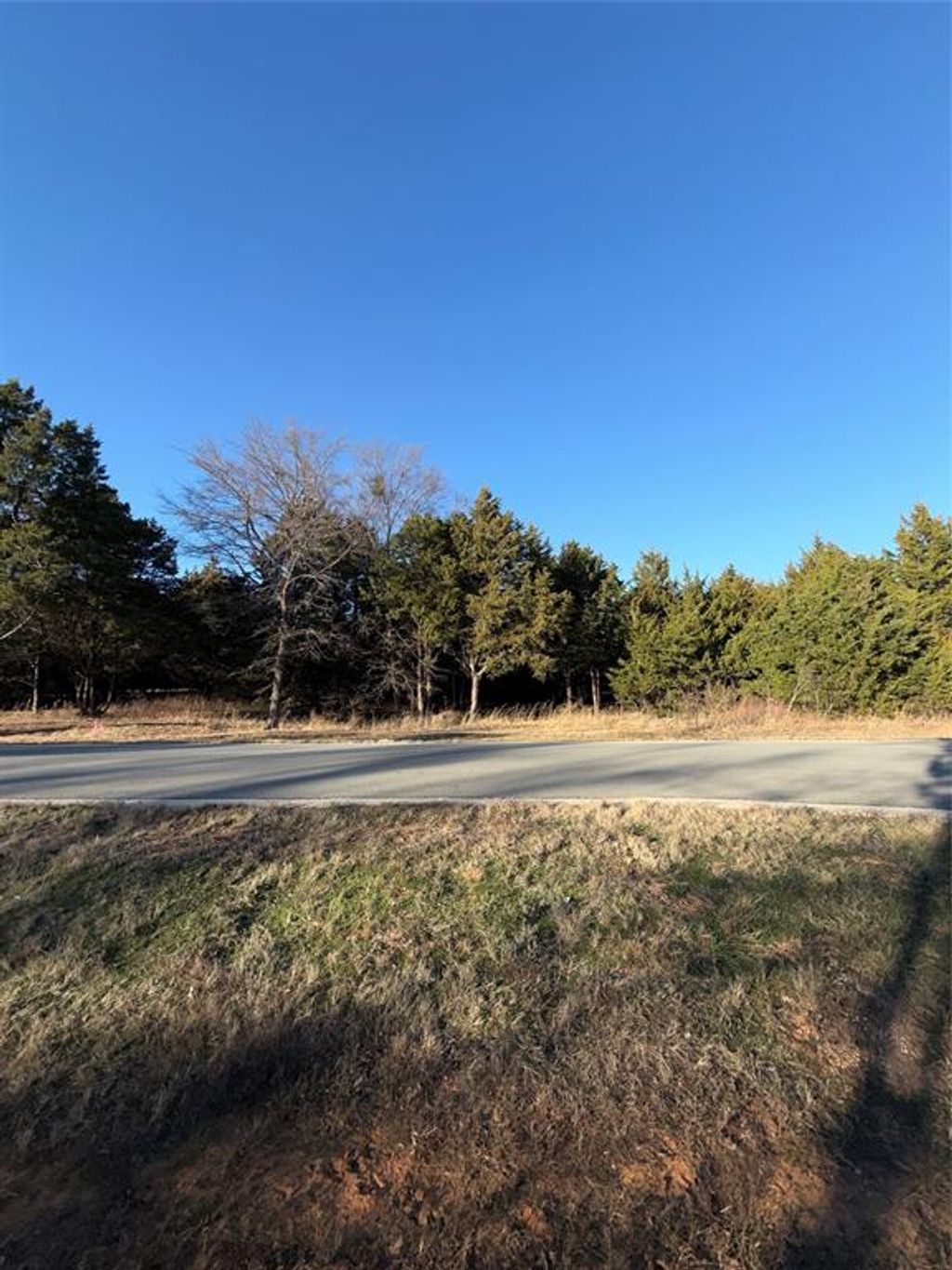 Photo of 50 Forest Hills Drive, Gordonville, TX 76245 (MLS # 21156436)