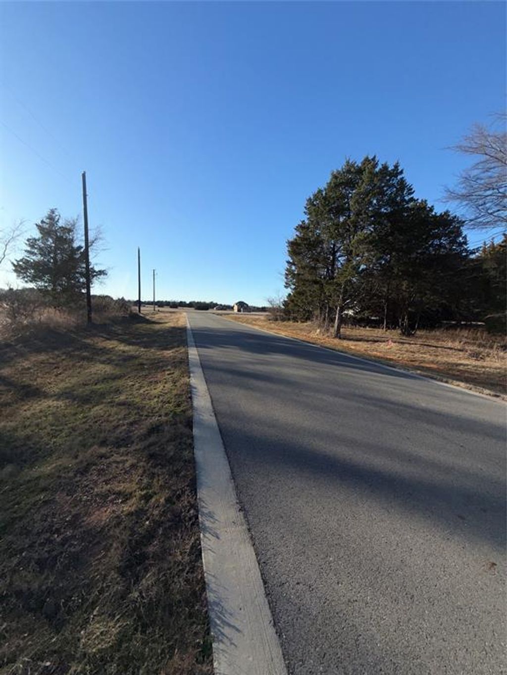 Photo of 50 Forest Hills Drive, Gordonville, TX 76245 (MLS # 21156436)
