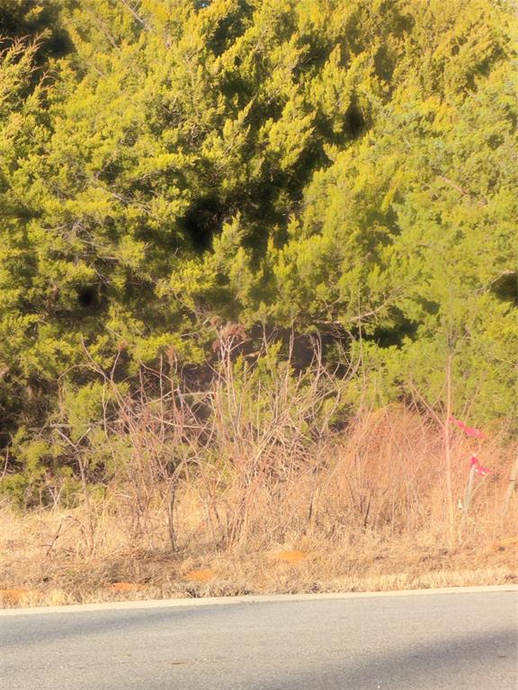 Lot 3 Forest Hills Drive
