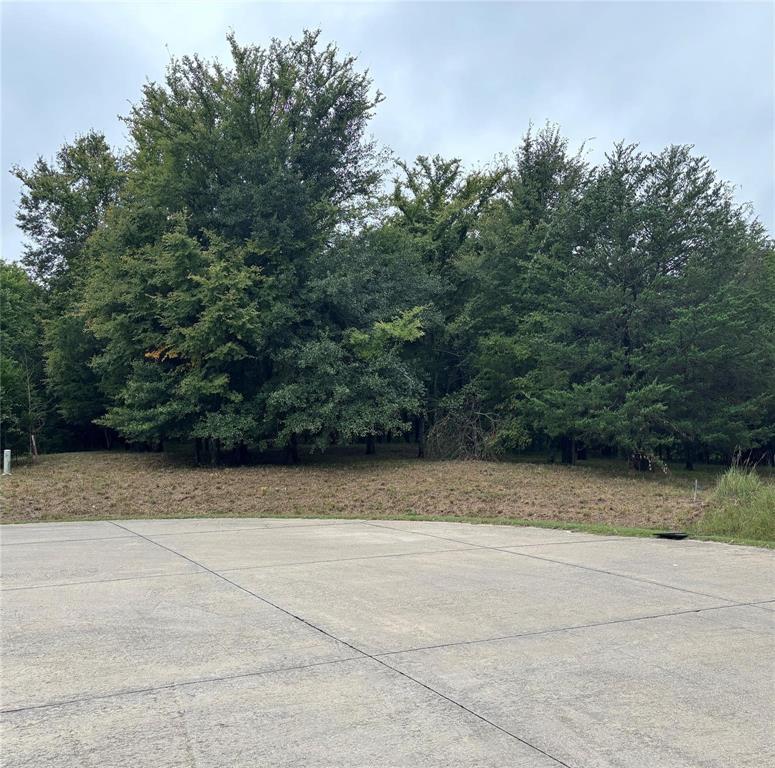 Shadow Lakes Ph 2 - Land