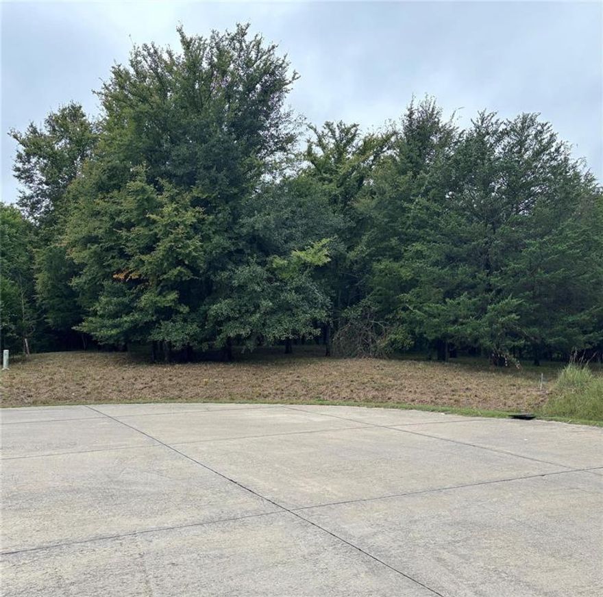 Build your dream home on this nearly 3-acre lot in the desirable Shadow Lakes subdivision in Wills Point, TX. This peaceful community is known for its beautiful, mature trees, spacious surroundings, and large-lot homes that offer privacy and room to breathe.

Residents enjoy access to community amenities including a park, swimming pool, and community center, creating a great balance of space and neighborhood connection. With plenty of room for a custom home, outdoor living, and enjoying nature, this property offers the ideal setting for those seeking quiet country-style living without sacrificing a sense of community.

If you’re looking for land where you can spread out, enjoy the scenery, and still be part of a well-kept neighborhood—this is it.