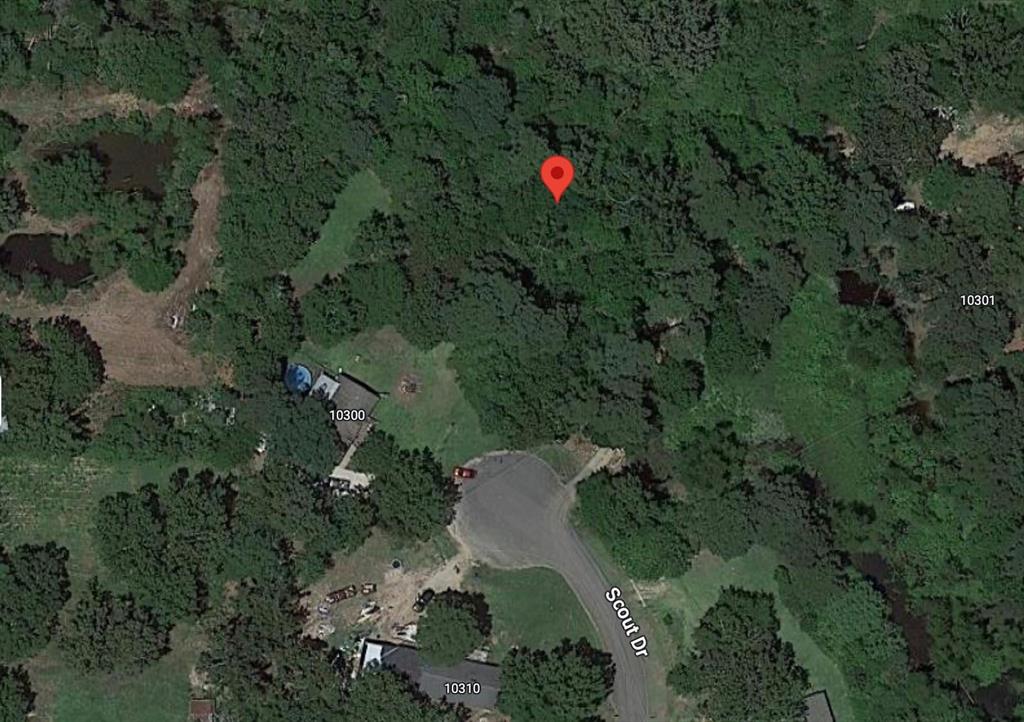 COLWORTH PLACE - Land