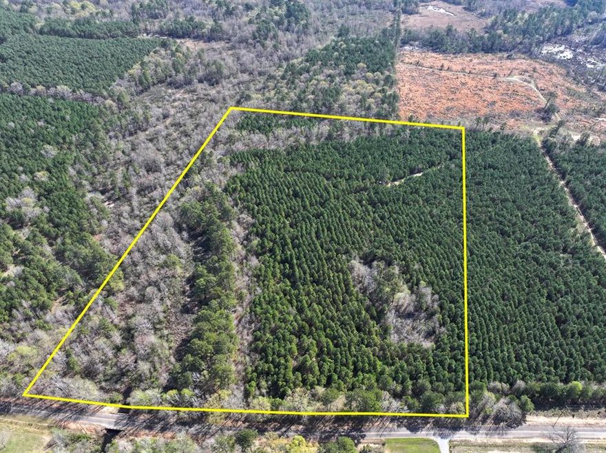 This first time open market offering is situated in the quiet village of Rodessa, Caddo Parish, Louisiana. Historically managed timber tracts currently planted in varying ages of pre-merchantable pine plantations (2014-2016). Attractive size and shaped tracts offer high recreational residential value and privacy. Tracts vary in size from 8 to 81 acres. Easily accessed from low traffic blacktop roads. Good topography and drainage. Located close to the borders of Texas, Louisiana and Arkansas. Electricity available along United Gas Road 1 and Rodessa State Line Road (LA 168 CR 4561).