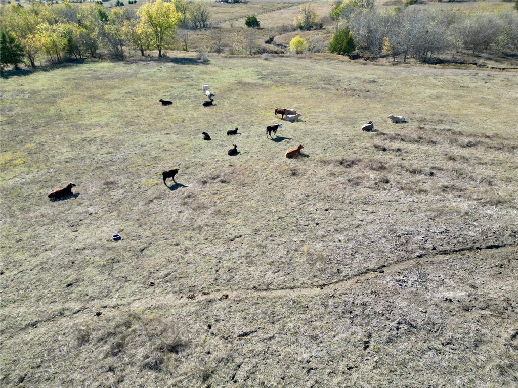 A 137 H S Bennett Survey - Land