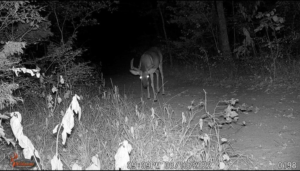 USSURY SAMUEL - Residential