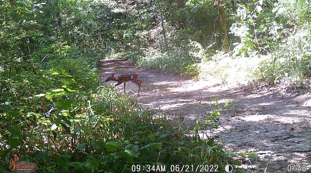 USSURY SAMUEL - Residential