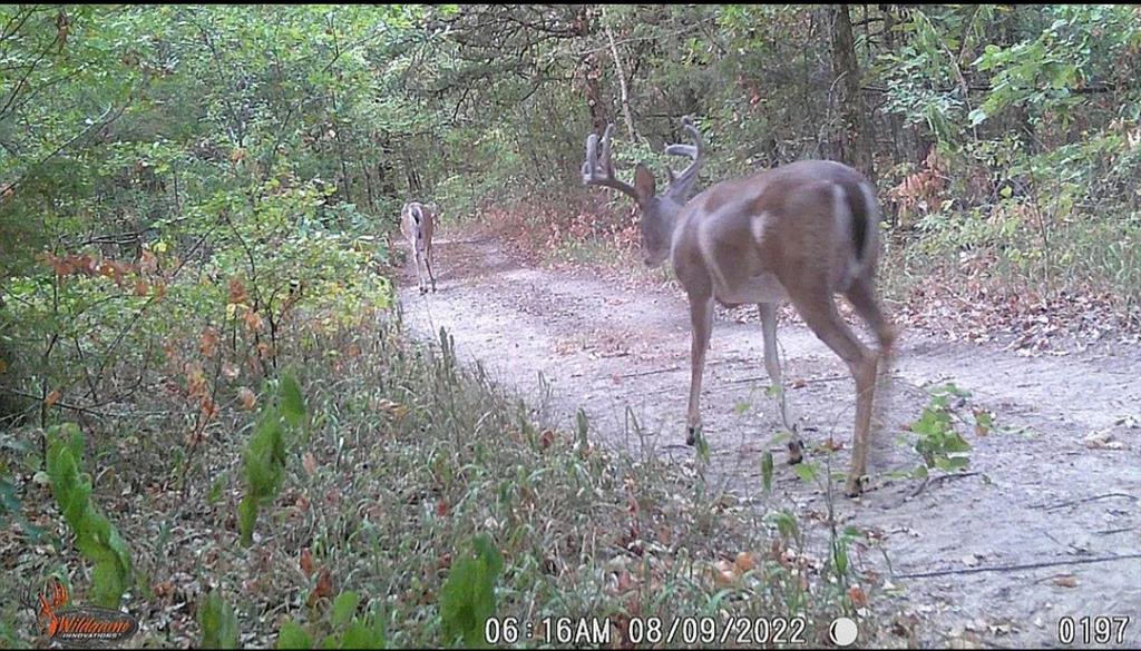 USSURY SAMUEL - Residential