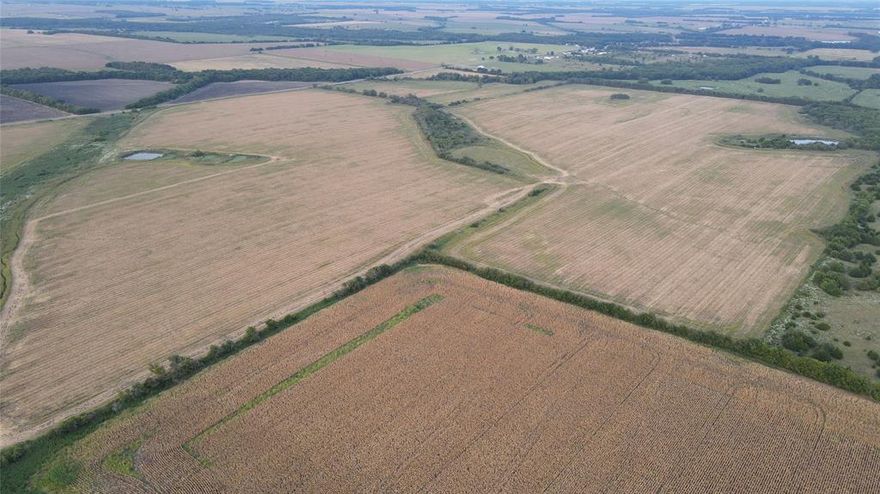 MOSTLY OPEN PASTURE.  CROP LAND.
