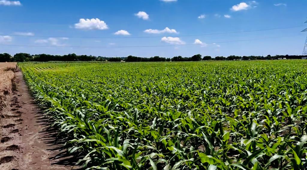 9775 County Road 505