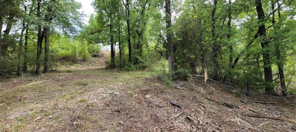 Hills Possum Kingdom Lake Ph3 S5 - Land