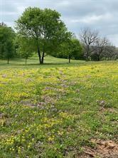 The Orchards On The Brazos - Land
