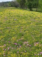 The Orchards On The Brazos - Land
