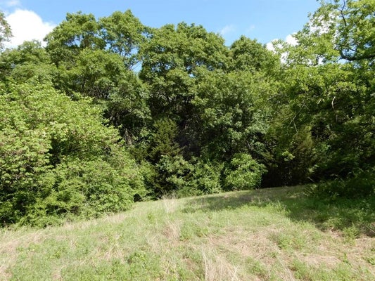 1415 DAY BLVD, DALLAS, TX 75203 - Image cf0957b2a4c8df19baf3c57d996de6cb/285504413