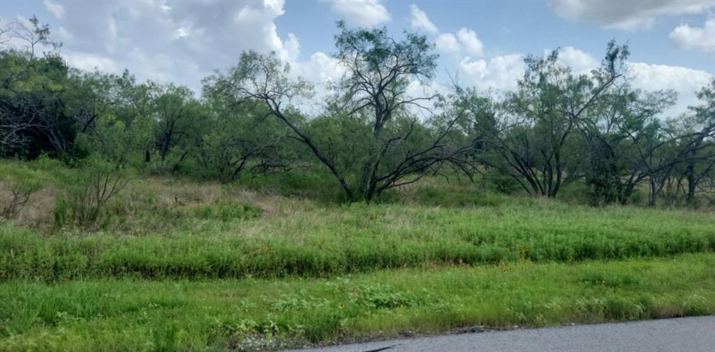 WOLF RANCH PH 4 - Land