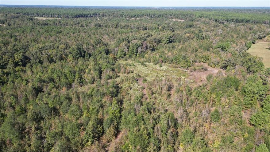 Perfect property for development on corner lot in Upshur County!! Two beautifully-wooded tracts totaling 182+- acres. With approximately 650ft road frontage on FM593 and approximately 3,200ft road frontage on Mistletoe Rd, there is ample opportunity to subdivide and develop. Several man-made trails currently make this a hunters dream to navigate through while picking out the perfect spots for your blinds. There are a couple of locations within the property that are less saturated with vegetation and several spots that would make great homesites when cleared. You'll also find a small pond as well as a seasonal creek running through. Properties are located at the corner of FM593 and Mistletoe Rd in Gilmer. You'll find two access gates off of Mistletoe road. 

Though all information is deemed accurate, buyer and buyer's agent should verify all information.