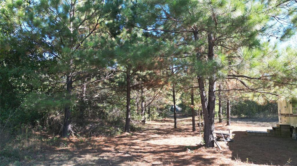 A204 - HARRISON COUNTY SCHOOLA123 - DONAHO, WILSON - Land